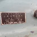 很便宜92年北一X52K，内在不错，价低，洛阳仓库。